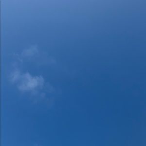 Meet your Posher, Vaughn